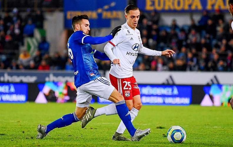 28岁樊振东被催婚！生涯黄金期与人生大事陷两难抉择