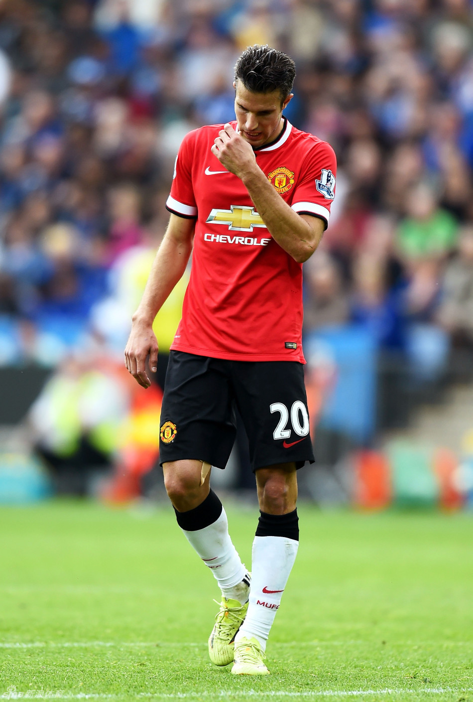 12月8日NBA焦点战：绿军猛龙分区内战，湖勇迎东部劲旅考验